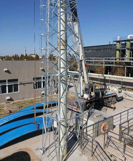 ������w��